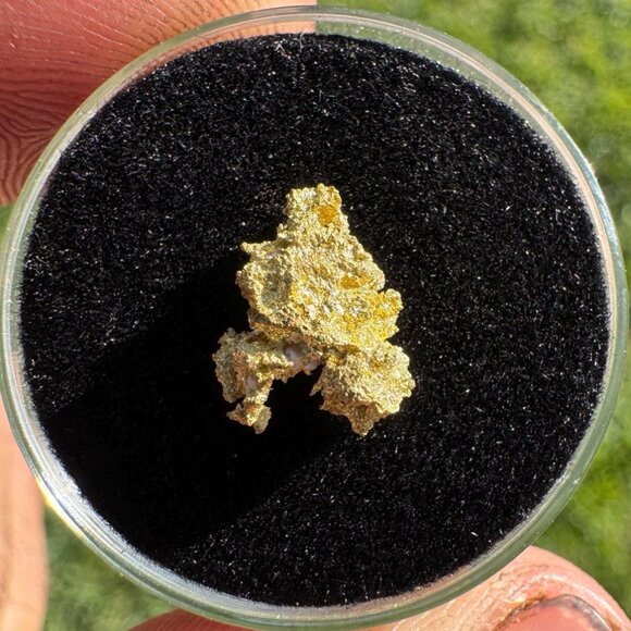 California Native Gold Crystal - 0.80 grams - Picture 2 of 7
